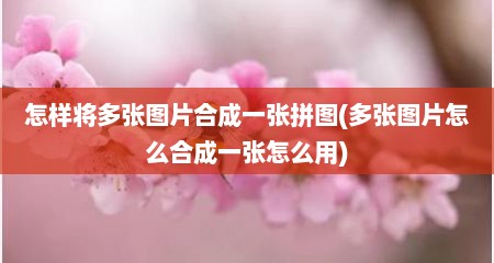 怎样将多张图片合成一张拼图(多张图片怎么合成一张怎么用)