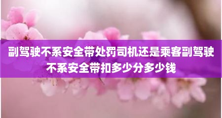 副驾驶不系安全带处罚司机还是乘客副驾驶不系安全带扣多少分多少钱