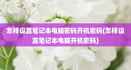 怎样设置笔记本电脑密码开机密码(怎样设置笔记本电脑开机密码)