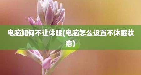 电脑如何不让休眠(电脑怎么设置不休眠状态)