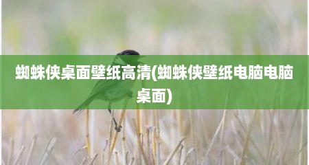 蜘蛛侠桌面壁纸高清(蜘蛛侠壁纸电脑电脑桌面)