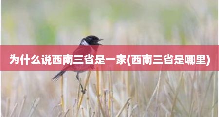 为什么说西南三省是一家(西南三省是哪里)