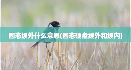 固态缓外什么意思(固态硬盘缓外和缓内)