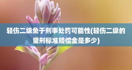 轻伤二级免于刑事处罚可能性(轻伤二级的量刑标准赔偿金是多少)