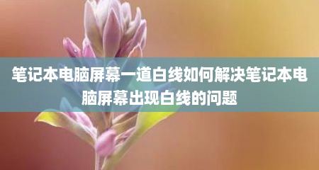 笔记本电脑屏幕一道白线如何解决笔记本电脑屏幕出现白线的问题