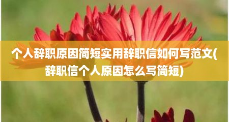 个人辞职原因简短实用辞职信如何写范文(辞职信个人原因怎么写简短)