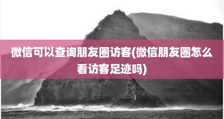 微信可以查询朋友圈访客(微信朋友圈怎么看访客足迹吗)