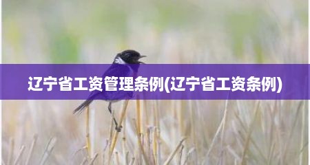 辽宁省工资管理条例(辽宁省工资条例)