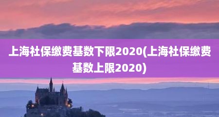 上海社保缴费基数下限2020(上海社保缴费基数上限2020)