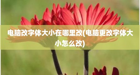 电脑改字体大小在哪里改(电脑更改字体大小怎么改)