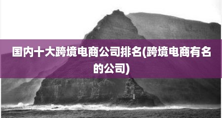 国内十大跨境电商公司排名(跨境电商有名的公司)