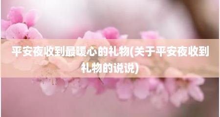 平安夜收到最暖心的礼物(关于平安夜收到礼物的说说)