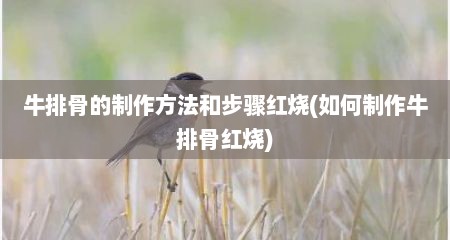 牛排骨的制作方法和步骤红烧(如何制作牛排骨红烧)