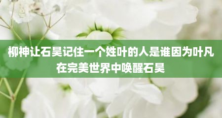 柳神让石昊记住一个姓叶的人是谁因为叶凡在完美世界中唤醒石昊