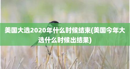 美国大选2020年什么时候结束(美国今年大选什么时候出结果)