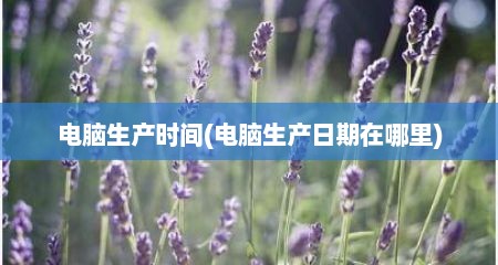 电脑生产时间(电脑生产日期在哪里)