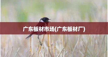 广东板材市场(广东板材厂)