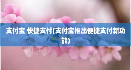 支付宝 快捷支付(支付宝推出便捷支付新功能)