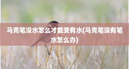 马克笔没水怎么才能变有水(马克笔没有笔水怎么办)