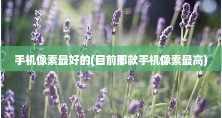 手机像素最好的(目前那款手机像素最高)