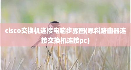 cisco交换机连接电脑步骤图(思科路由器连接交换机连接pc)