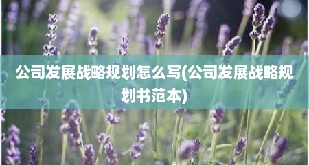 公司发展战略规划怎么写(公司发展战略规划书范本)