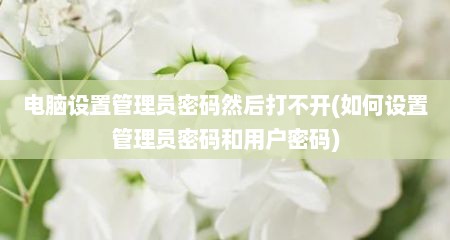 电脑设置管理员密码然后打不开(如何设置管理员密码和用户密码)