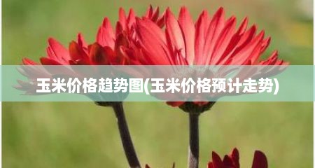 玉米价格趋势图(玉米价格预计走势)