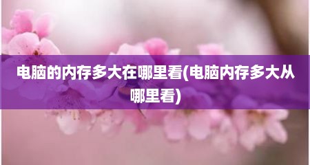 电脑的内存多大在哪里看(电脑内存多大从哪里看)