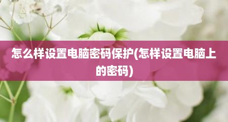 怎么样设置电脑密码保护(怎样设置电脑上的密码)