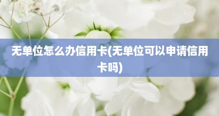 无单位怎么办信用卡(无单位可以申请信用卡吗)