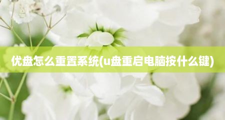 优盘怎么重置系统(u盘重启电脑按什么键)