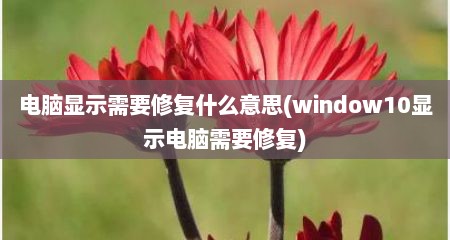 电脑显示需要修复什么意思(window10显示电脑需要修复)