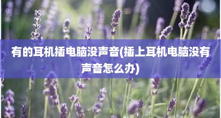 有的耳机插电脑没声音(插上耳机电脑没有声音怎么办)