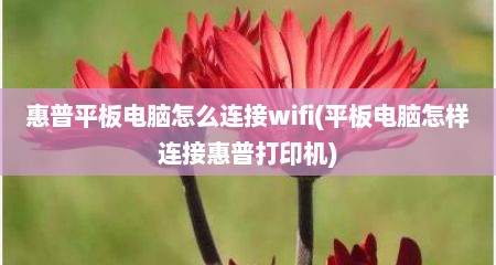 惠普平板电脑怎么连接wifi(平板电脑怎样连接惠普打印机)