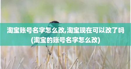 淘宝账号名字怎么改,淘宝现在可以改了吗(淘宝的账号名字怎么改)