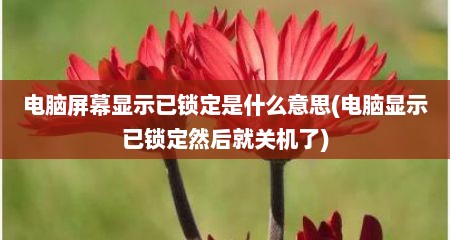 电脑屏幕显示已锁定是什么意思(电脑显示已锁定然后就关机了)