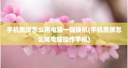 手机黑屏怎么用电脑一键换机(手机黑屏怎么用电脑操作手机)