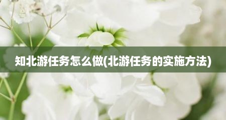 知北游任务怎么做(北游任务的实施方法)