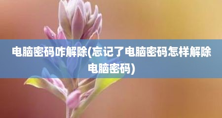 电脑密码咋解除(忘记了电脑密码怎样解除电脑密码)