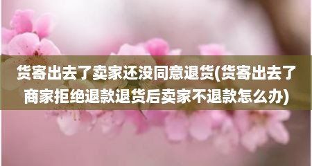 货寄出去了卖家还没同意退货(货寄出去了商家拒绝退款退货后卖家不退款怎么办)