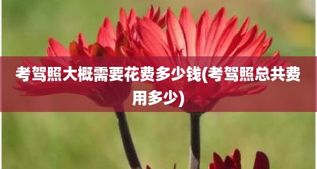 考驾照大概需要花费多少钱(考驾照总共费用多少)