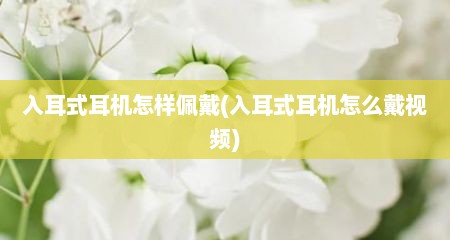 入耳式耳机怎样佩戴(入耳式耳机怎么戴视频)