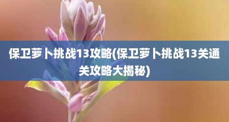 保卫萝卜挑战13攻略(保卫萝卜挑战13关通关攻略大揭秘)