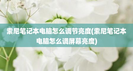 索尼笔记本电脑怎么调节亮度(索尼笔记本电脑怎么调屏幕亮度)