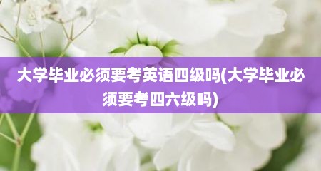 大学毕业必须要考英语四级吗(大学毕业必须要考四六级吗)