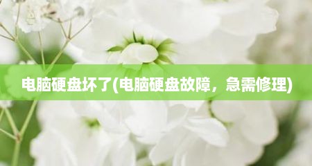 电脑硬盘坏了(电脑硬盘故障，急需修理)