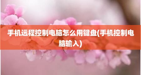 手机远程控制电脑怎么用键盘(手机控制电脑输入)