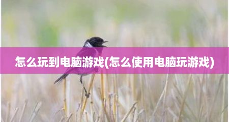 怎么玩到电脑游戏(怎么使用电脑玩游戏)