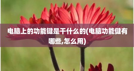 电脑上的功能键是干什么的(电脑功能健有哪些,怎么用)